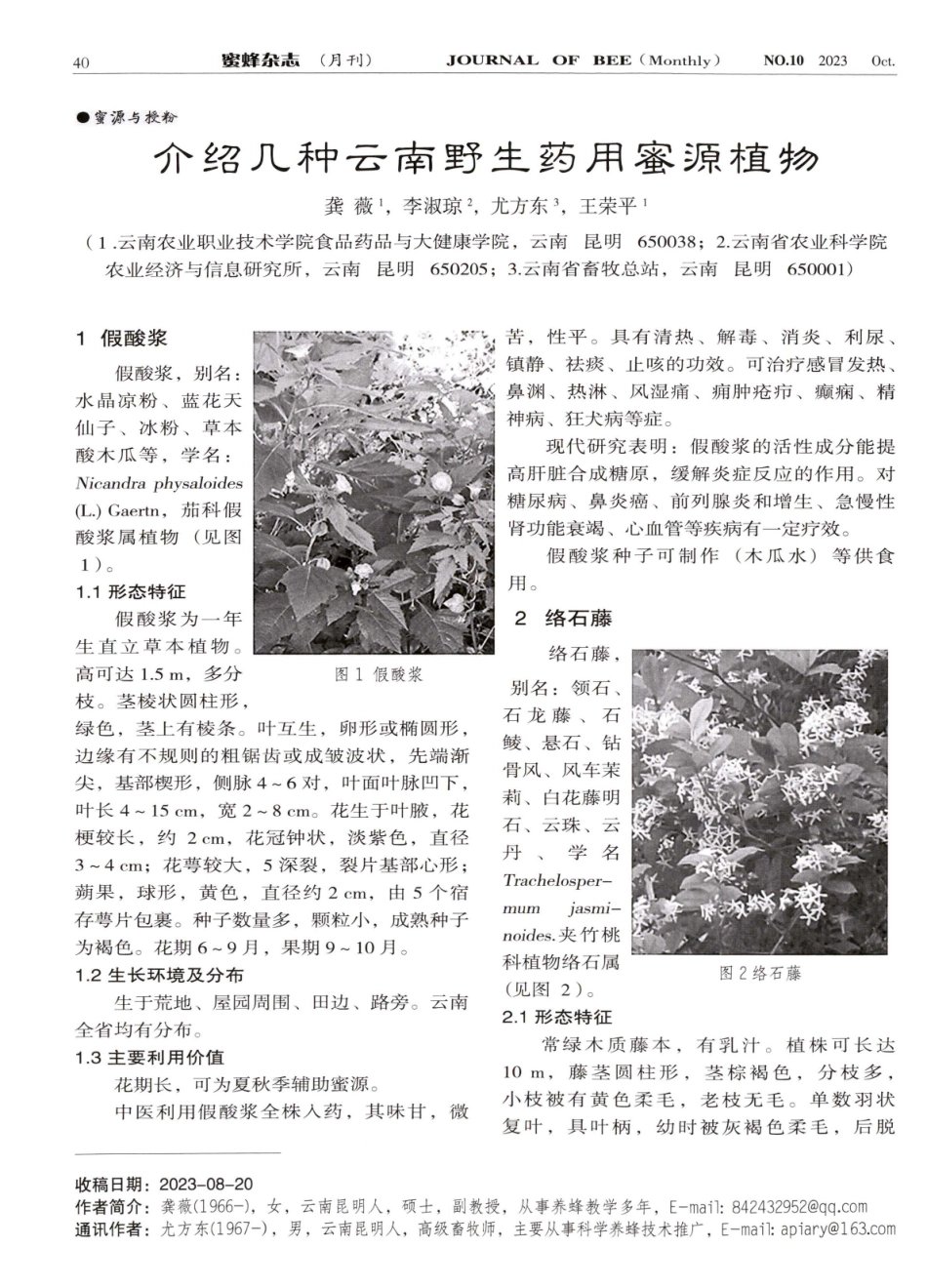 介绍几种云南野生药用蜜源植物.pdf_第1页
