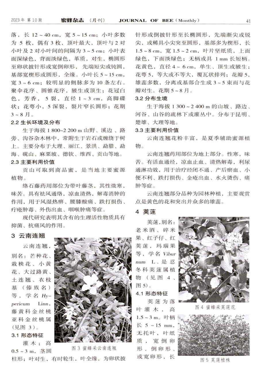 介绍几种云南野生药用蜜源植物.pdf_第2页