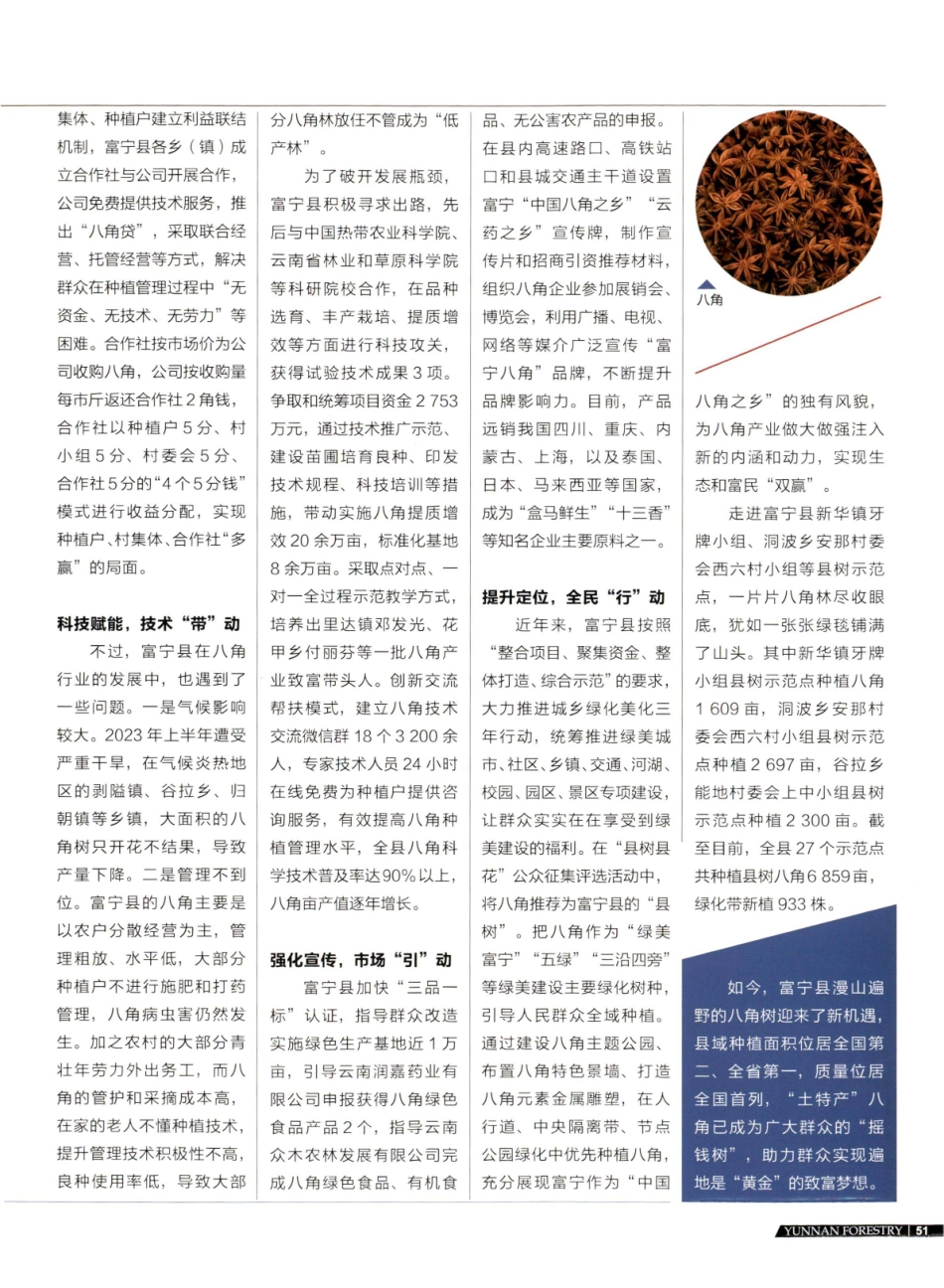 县树八角%2C绿美且“富” 富宁县壮大八角产业铺开乡村振兴致富路.pdf_第2页