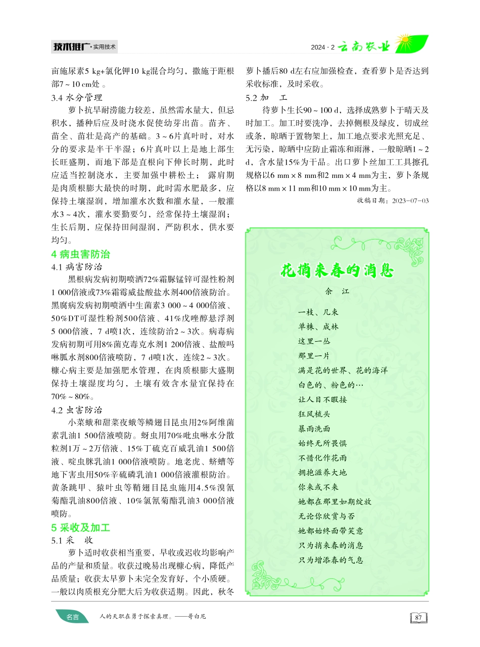 山地萝卜规范化栽培.pdf_第2页