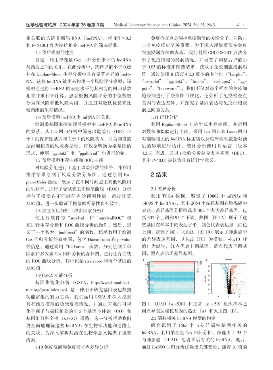 肺腺癌中端粒相关lncRNA的表达及免疫相关分析.pdf_第3页
