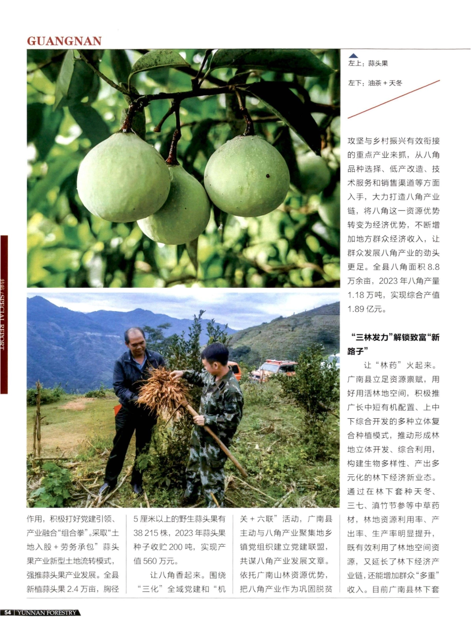 让绿水青山释放更多生态红利 广南县深耕两山沃土 实现“点绿成金”.pdf_第3页