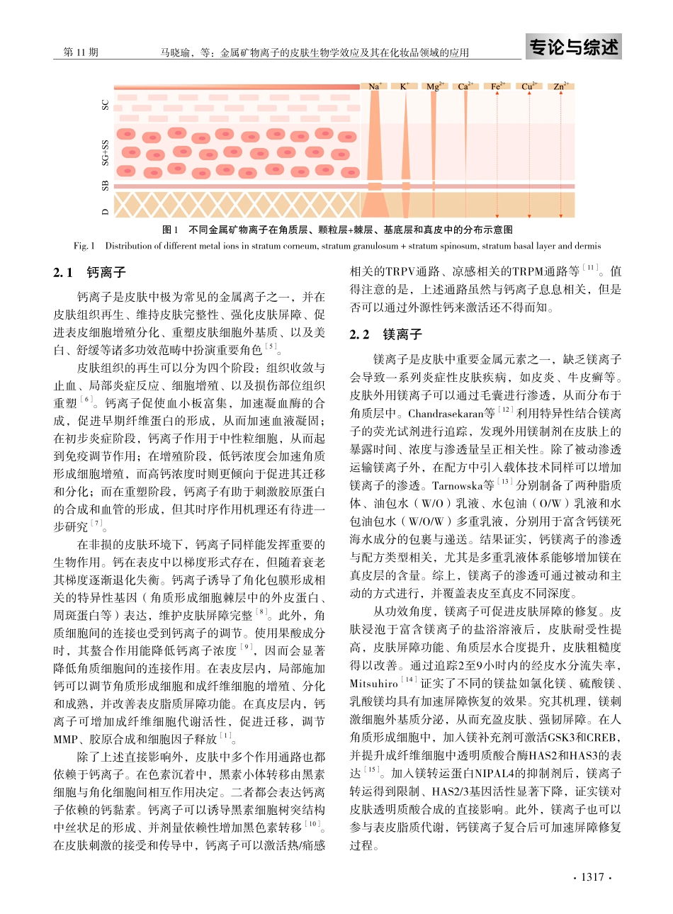 金属矿物离子的皮肤生物学效应及其在化妆品领域的应用.pdf_第3页