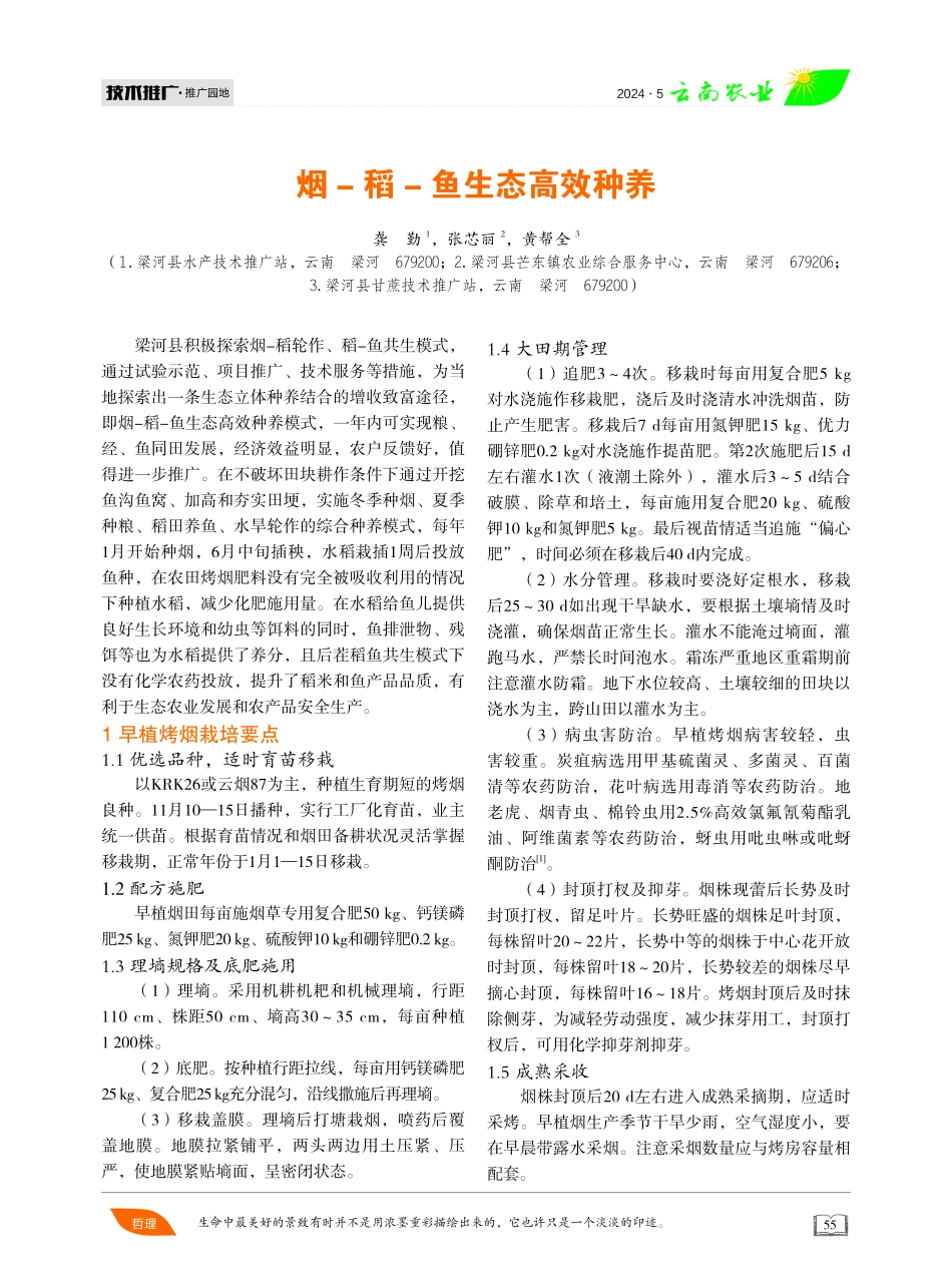 烟-稻-鱼生态高效种养 (1).pdf_第1页