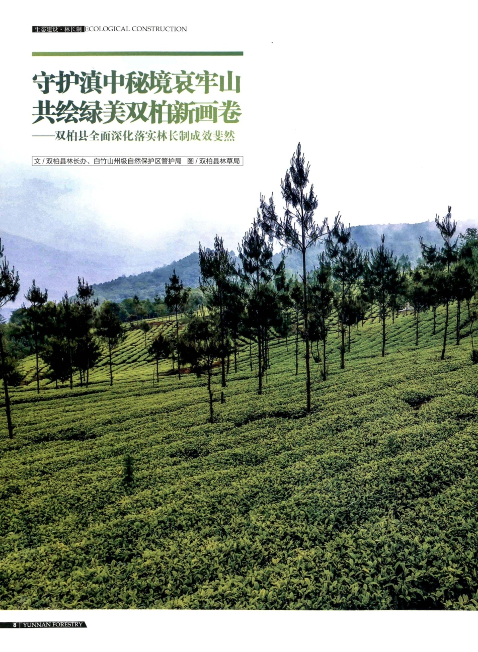 守护滇中秘境哀牢山 共绘绿美双柏新画卷——双柏县全面深化落实林长制成效斐然.pdf_第1页