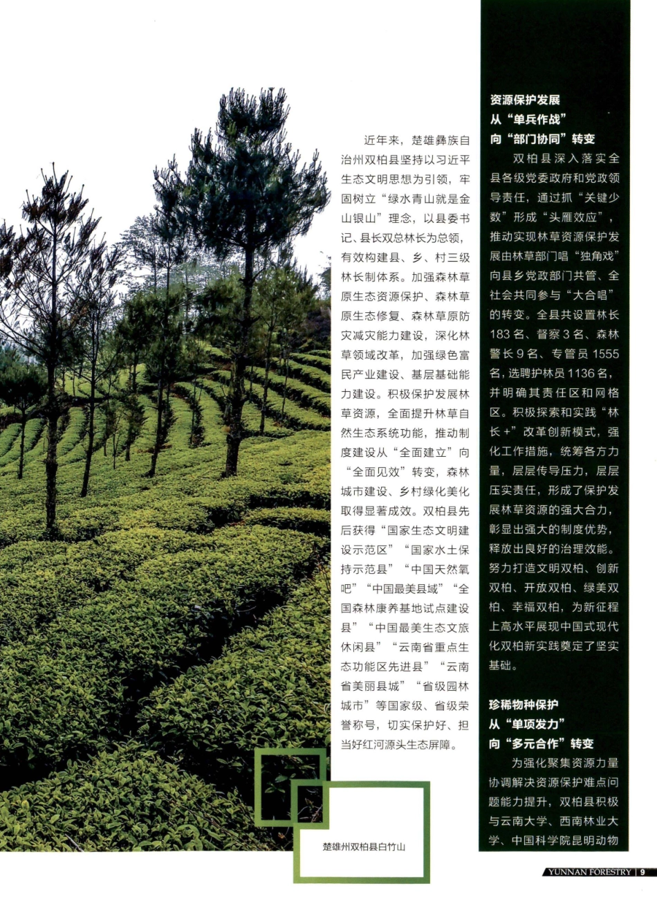 守护滇中秘境哀牢山 共绘绿美双柏新画卷——双柏县全面深化落实林长制成效斐然.pdf_第2页