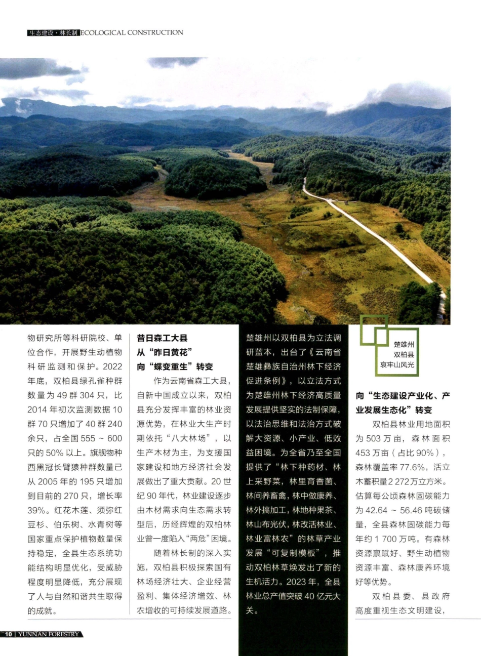 守护滇中秘境哀牢山 共绘绿美双柏新画卷——双柏县全面深化落实林长制成效斐然.pdf_第3页
