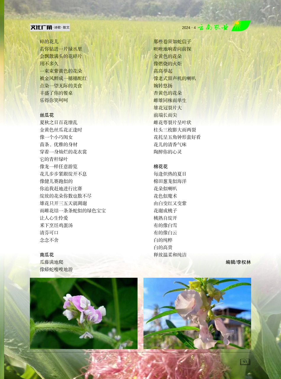 作物花诗九首.pdf_第2页