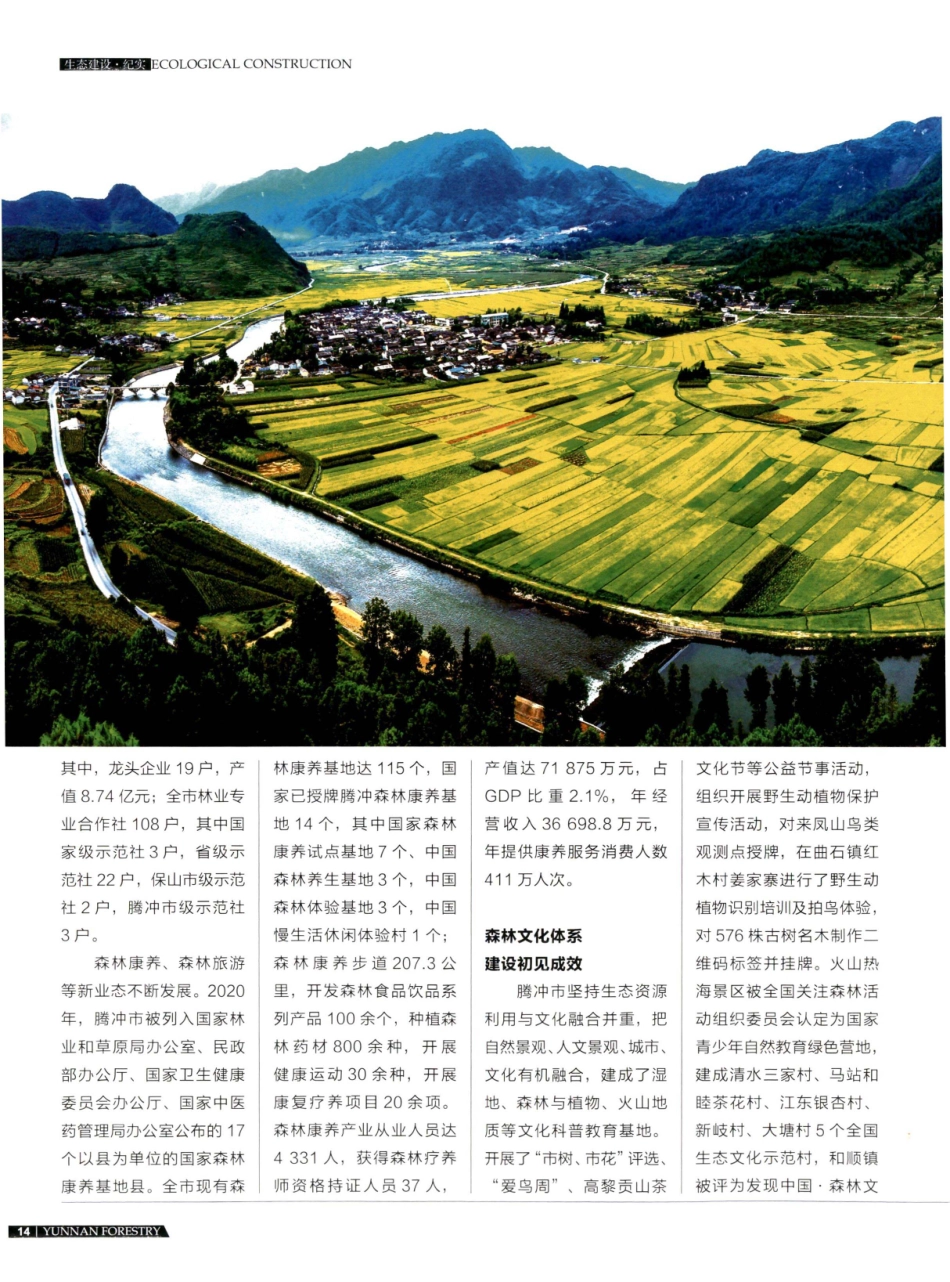 腾冲市创国家森林城市 助推林草高质量发展.pdf_第3页