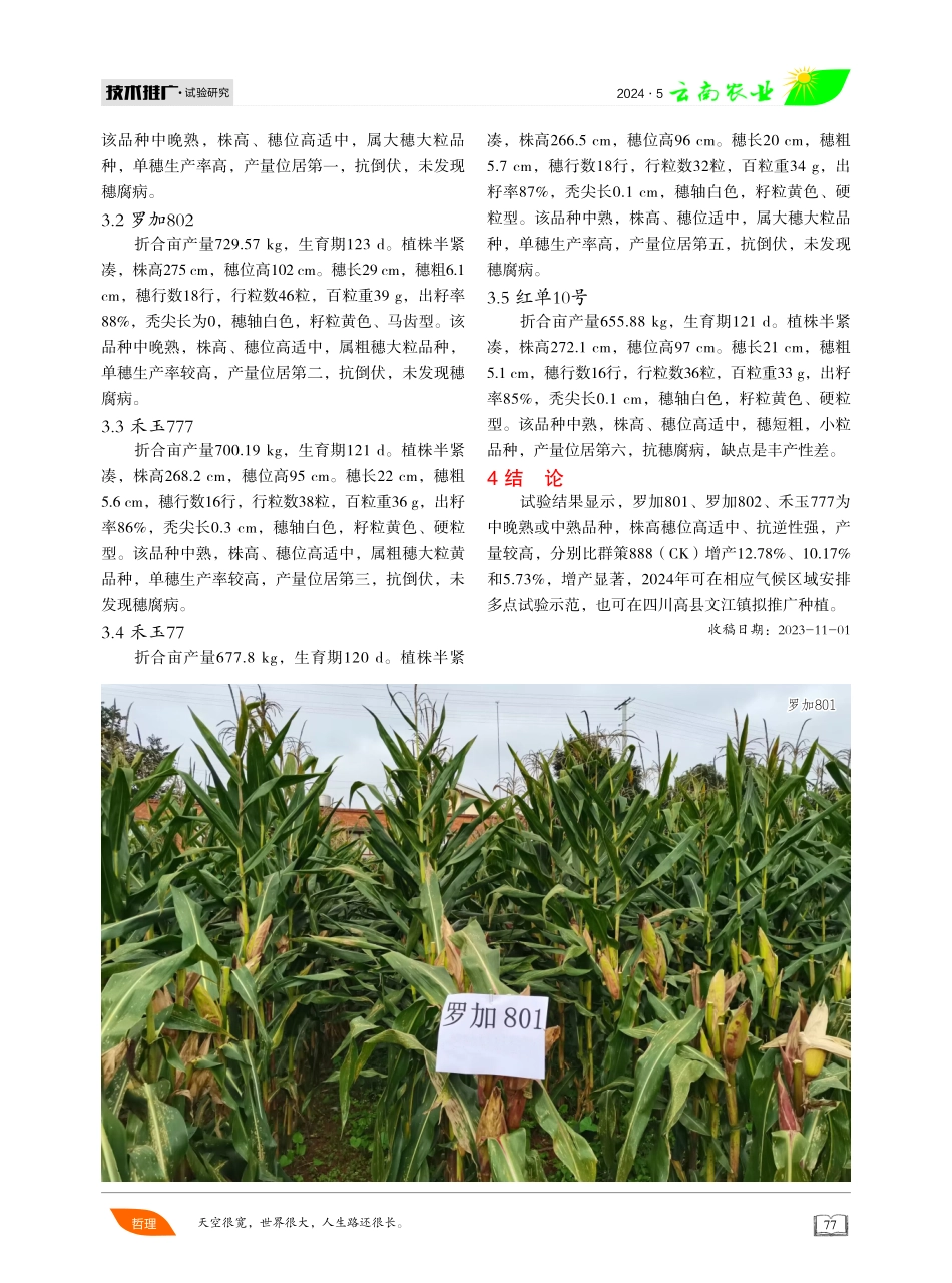 西南区玉米新品种筛选 (1).pdf_第3页