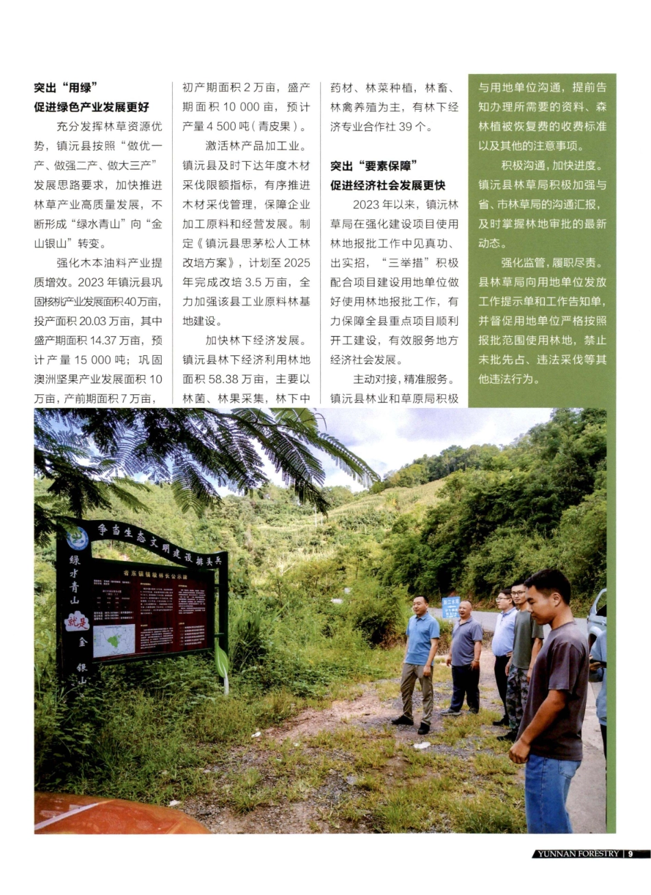 镇沅县全面推行林长制 走绿色发展之路.pdf_第2页