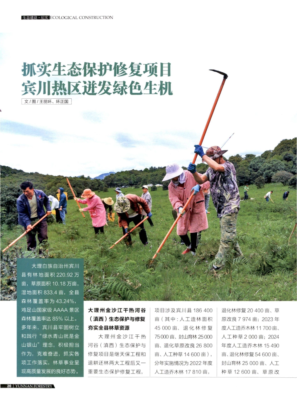 抓实生态保护修复项目 宾川热区进发绿色生机.pdf_第1页