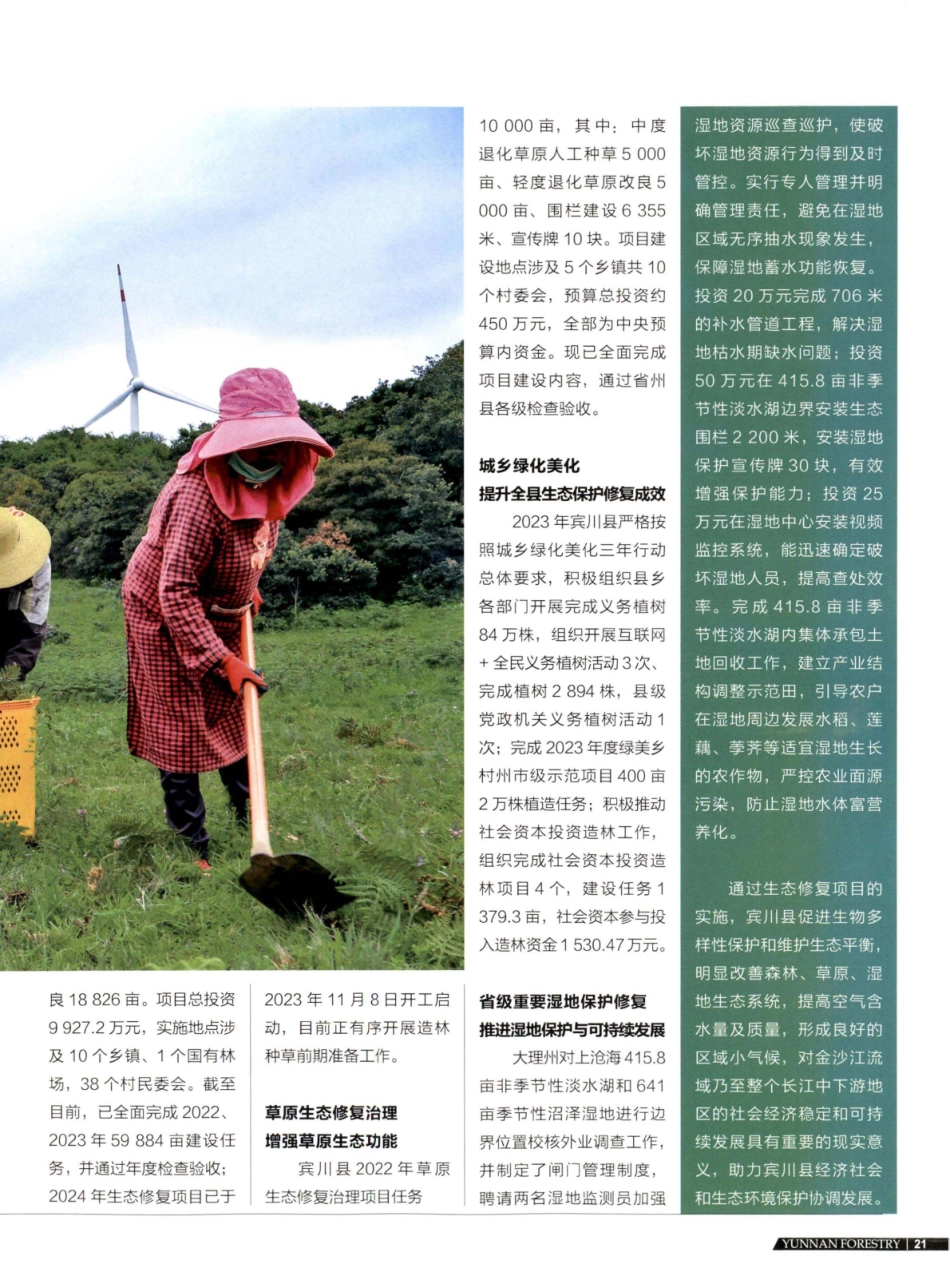 抓实生态保护修复项目 宾川热区进发绿色生机.pdf_第2页