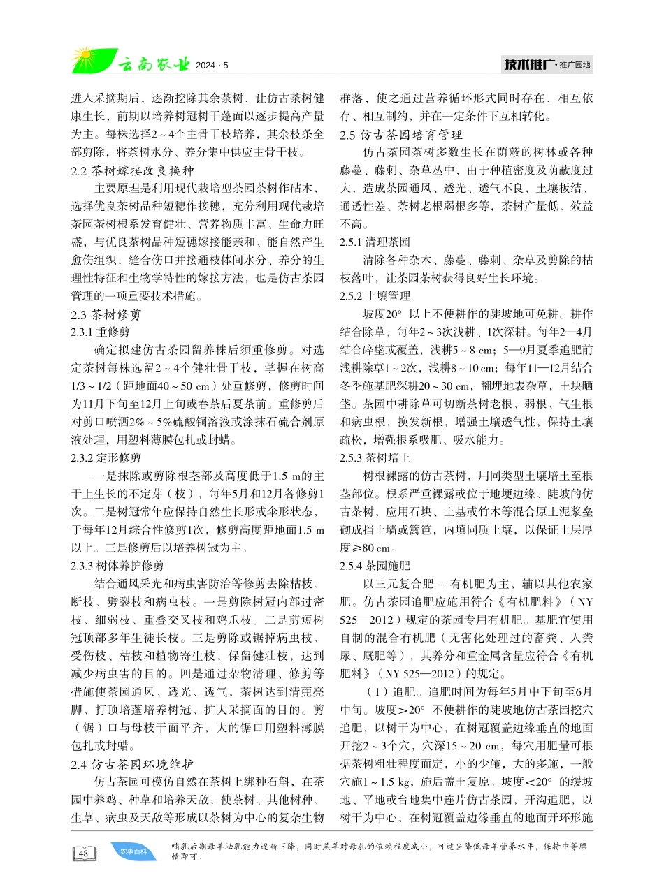 仿古茶园培育管理初探 (1).pdf_第2页