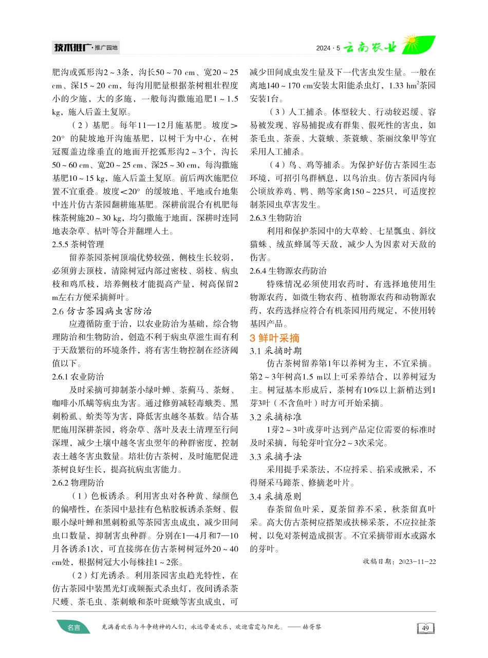 仿古茶园培育管理初探 (1).pdf_第3页
