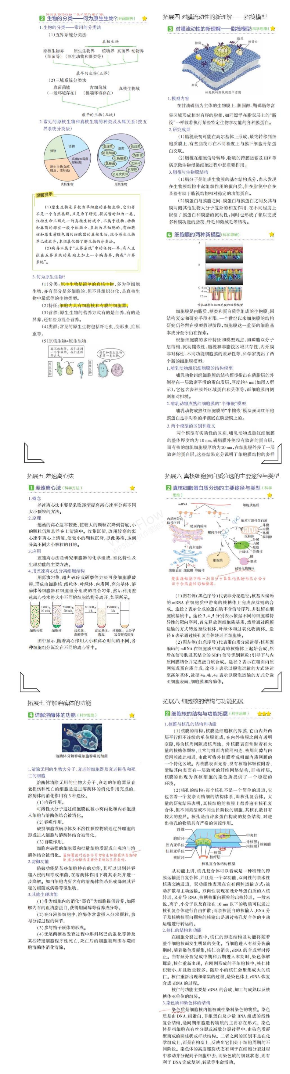 1_专题二 细胞的结构与功能拓展.pdf_第2页
