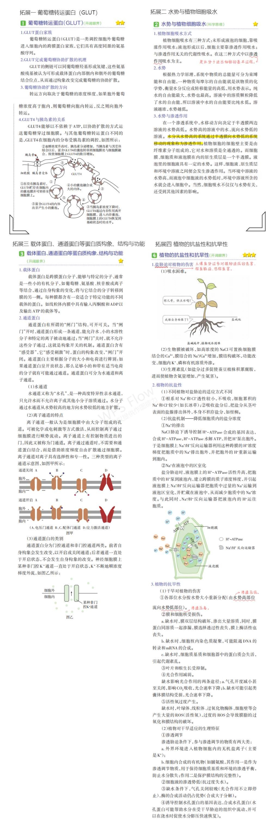 1_专题三 细胞的物质输入和输出 拓展.pdf_第1页