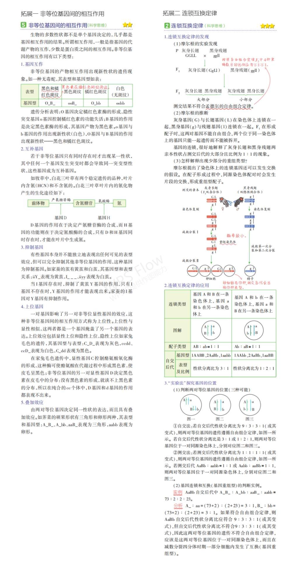 1_专题十二 基因的自由组合定律 拓展.pdf_第1页
