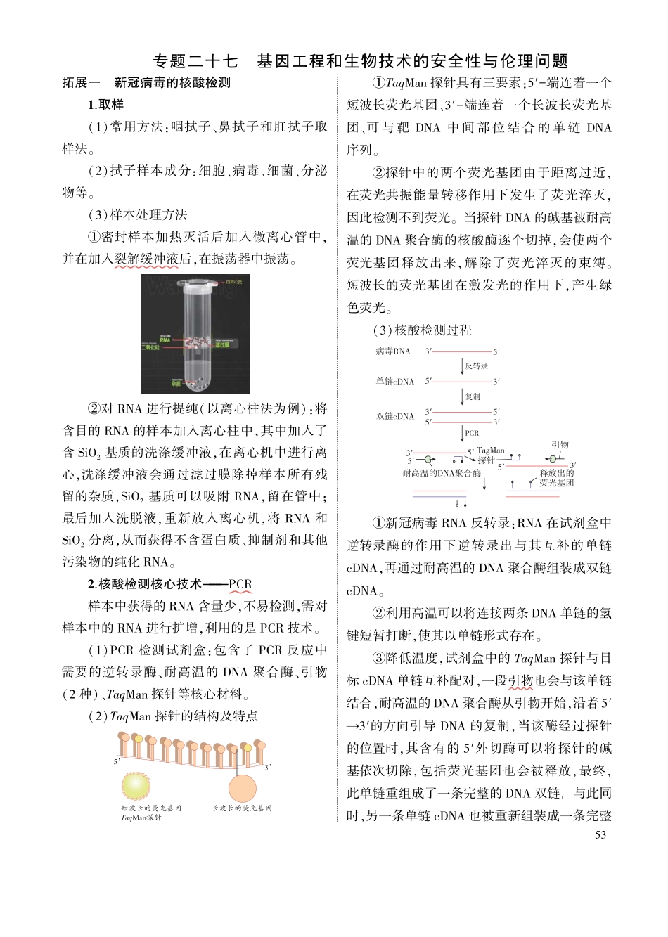 1_专题二十七 基因工程和生物技术的安全性与伦理问题 拓展.pdf_第1页