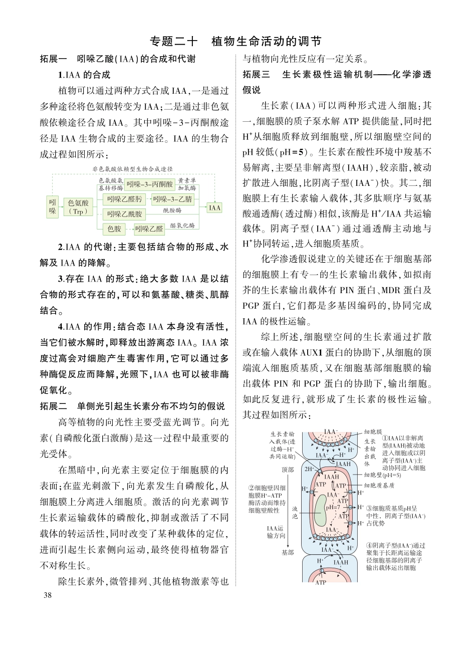 1_专题二十 植物生命活动的调节 拓展.pdf_第1页