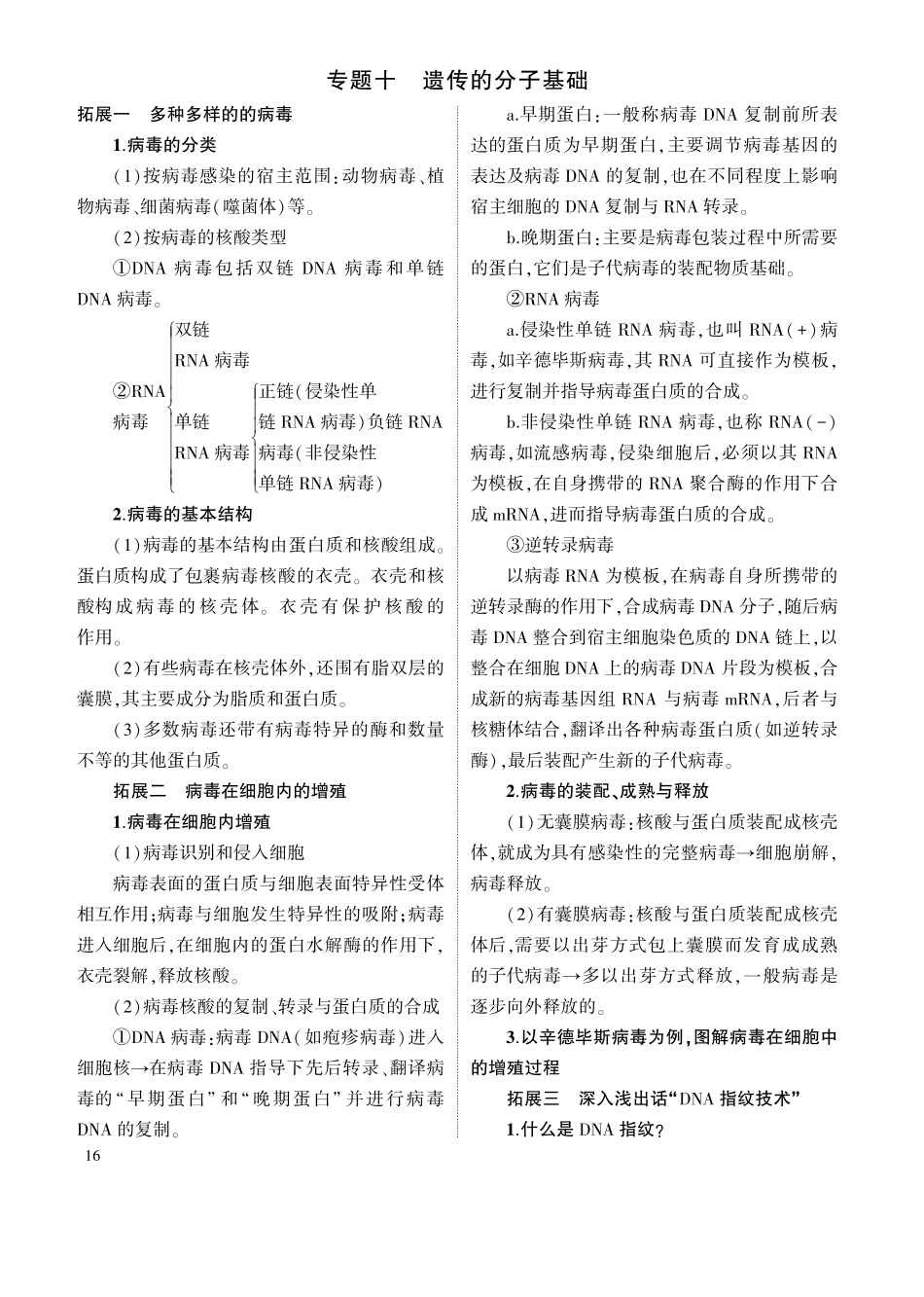 1_专题十 遗传的分子基础 拓展.pdf_第1页