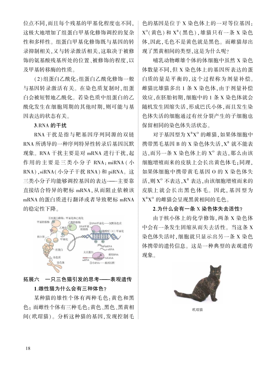 1_专题十 遗传的分子基础 拓展.pdf_第3页