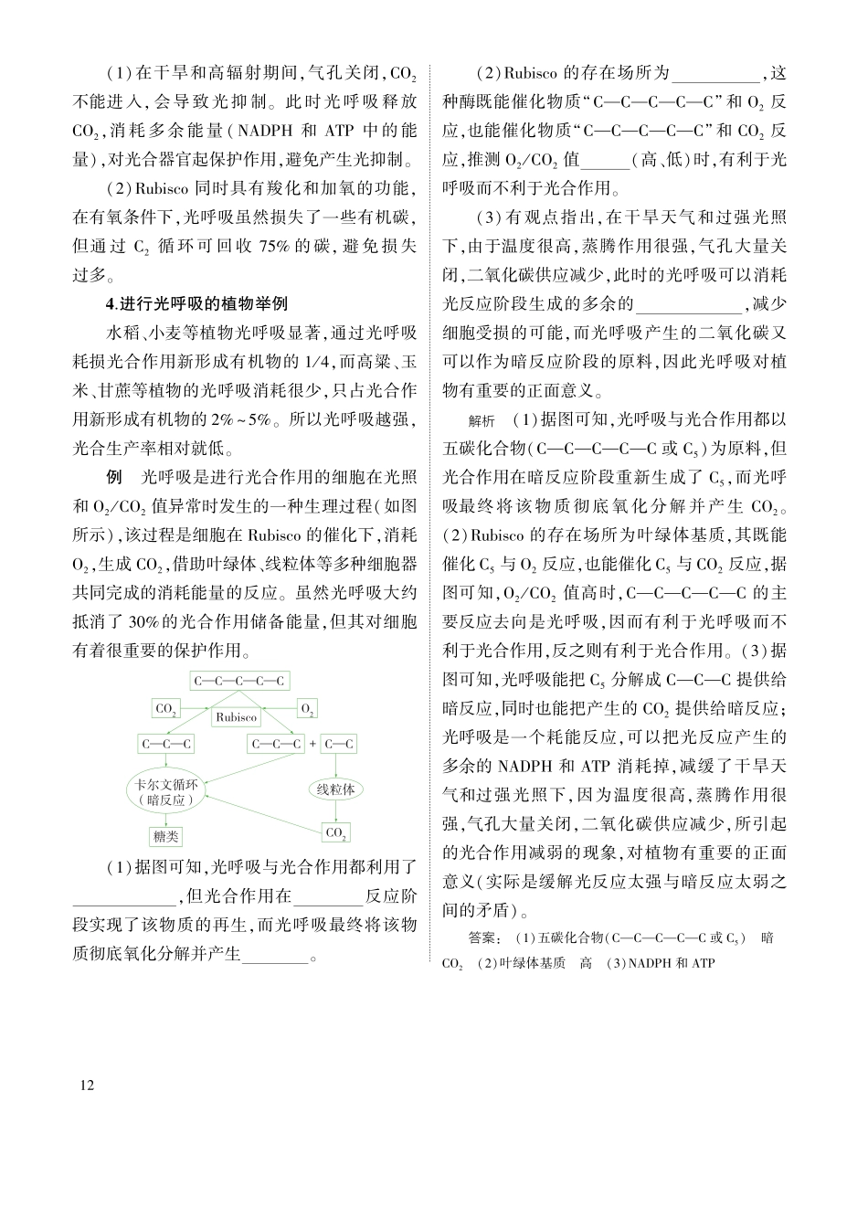 1_专题六 光合作用 拓展.pdf_第2页
