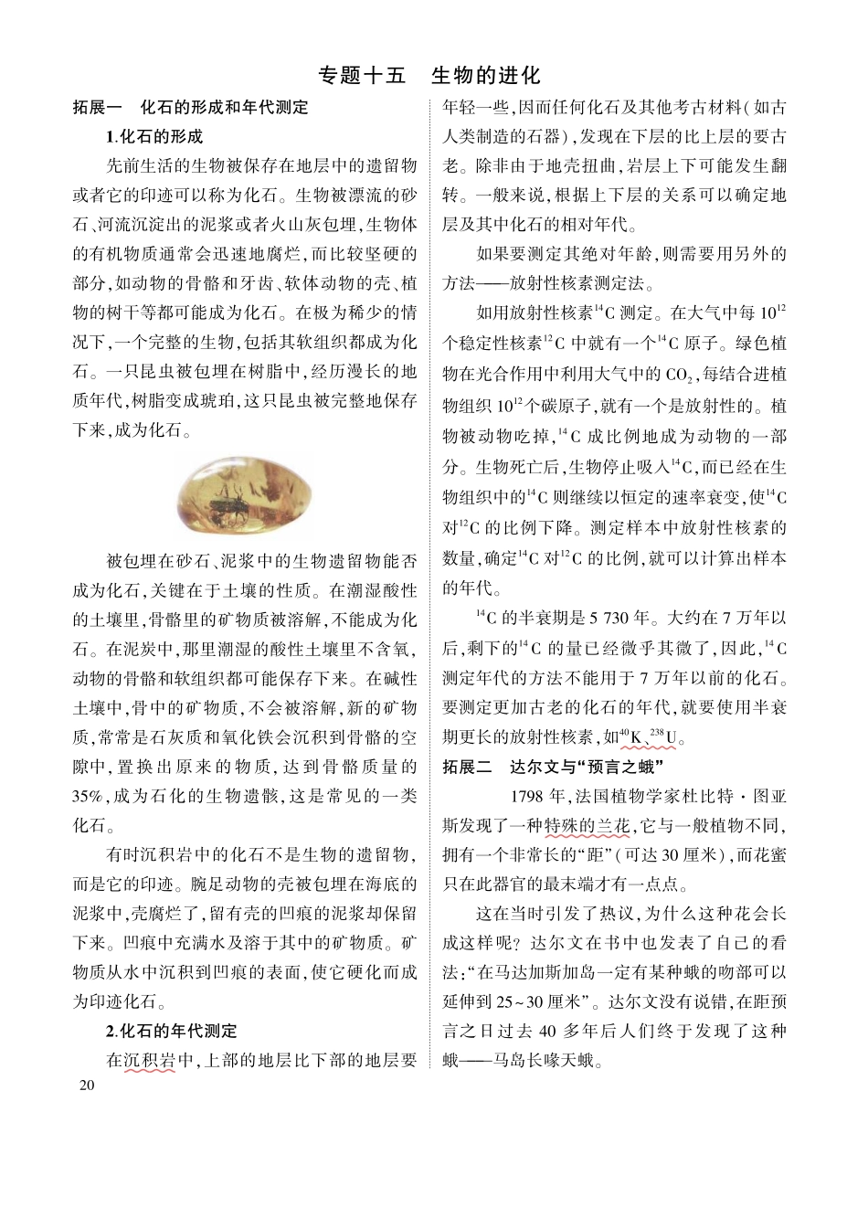 1_专题十五 生物的进化 拓展.pdf_第1页