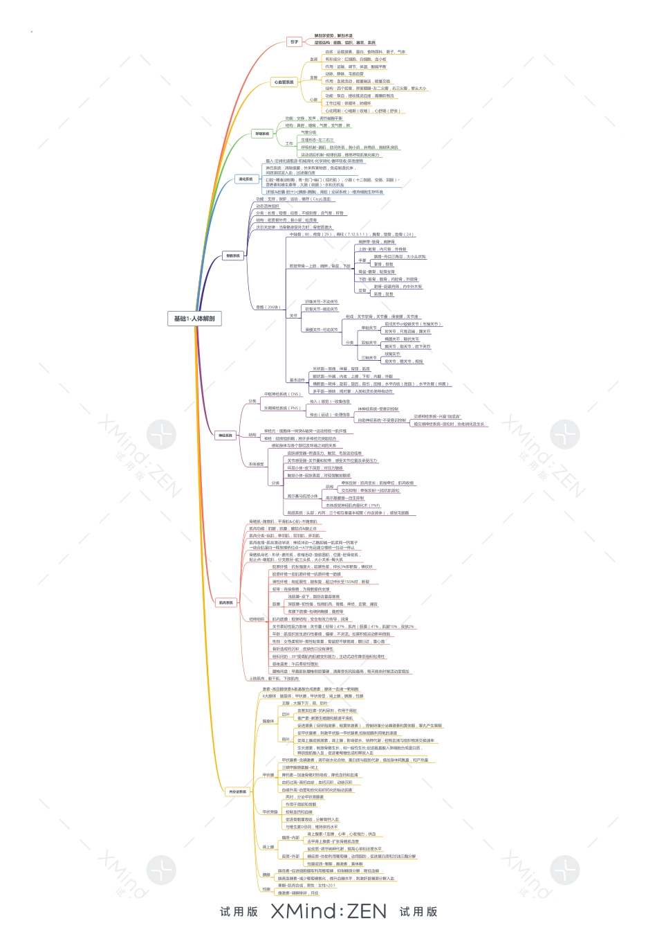 基础1-人体解剖.pdf_第1页