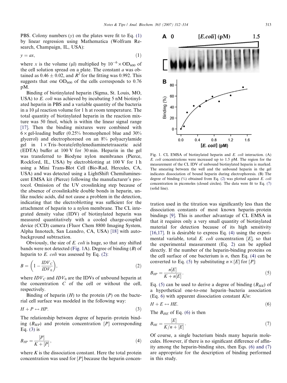 Characterization of heparin-living bacteria interactions by EMSA(1).pdf_第2页