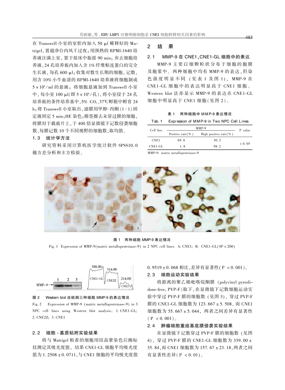 EBV-LMP1对鼻咽癌细胞系CNE1细胞转移相关因素的影响(1).pdf_第3页