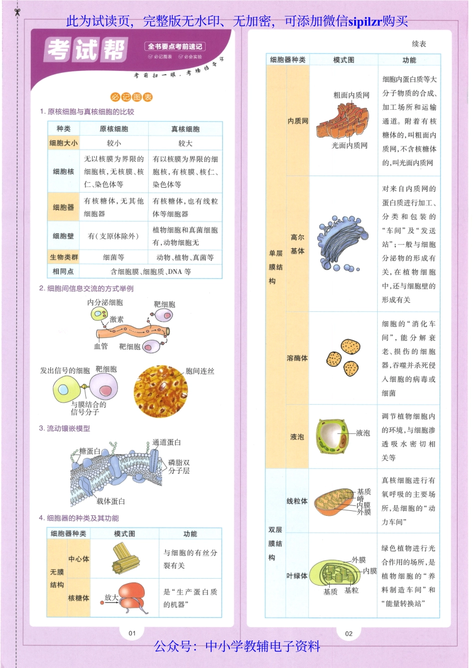 试看－【6】2023版《高中教材帮》生物（RJ）必修1 分子与细胞.pdf_第3页