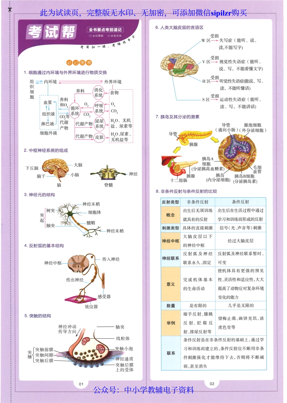 试看－【6】2023版《高中教材帮》生物（RJ）选择性必修1 稳态与调节.pdf_第3页