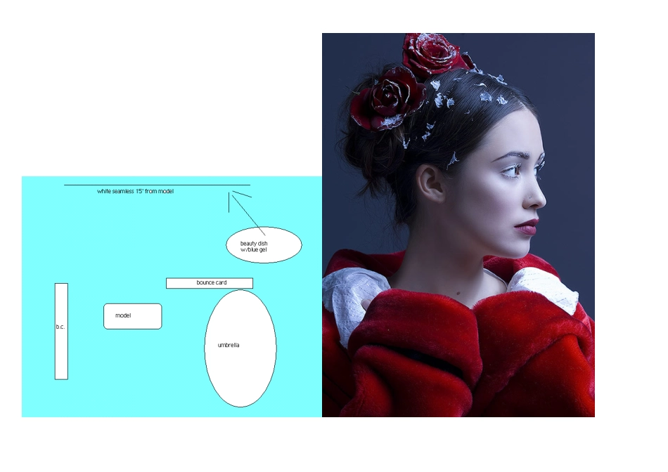 图解摄影灯光EN.pdf_第1页