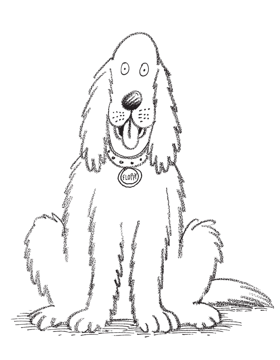 Floppy Sitting.pdf_第1页