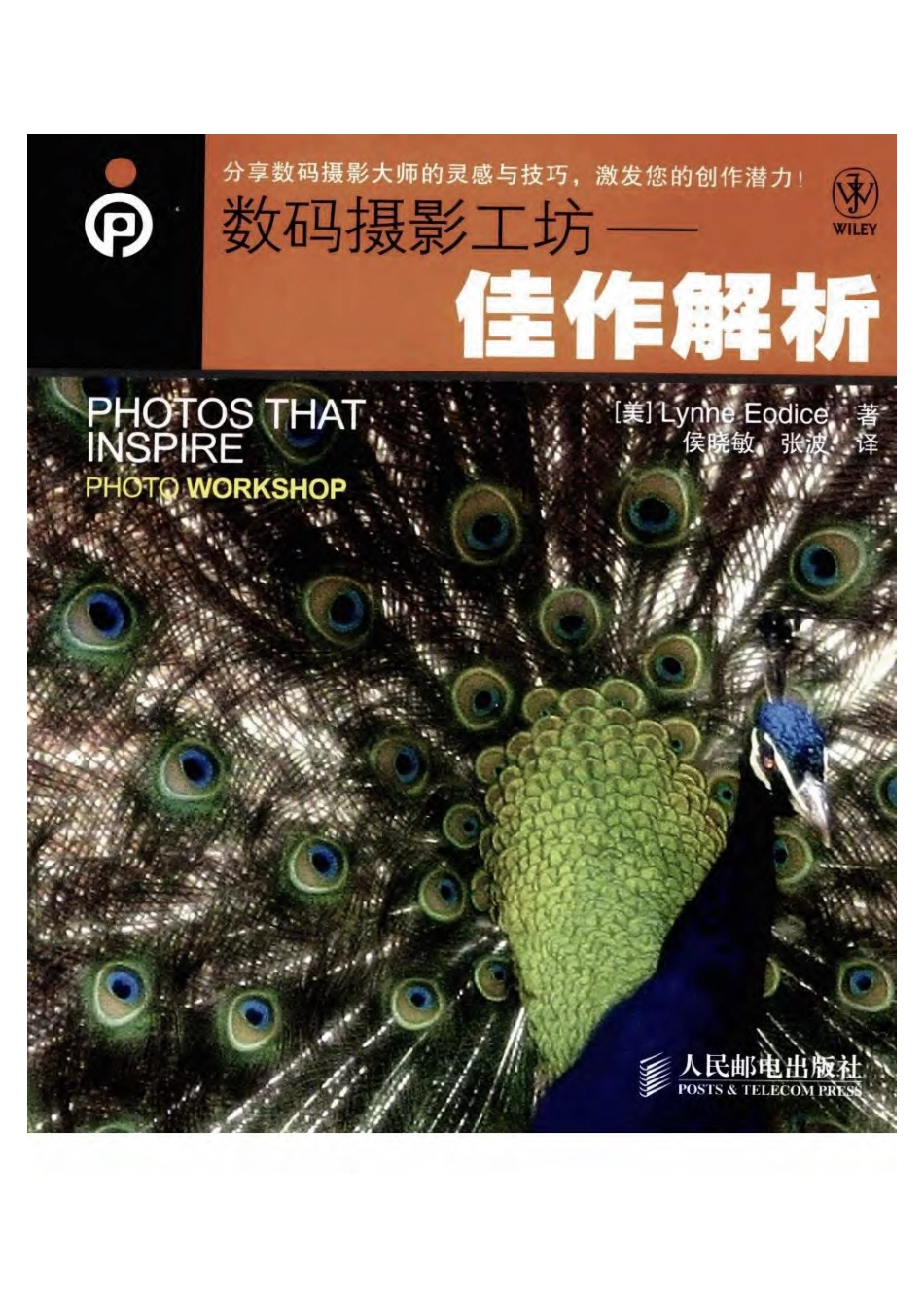 《数码摄影工坊：佳作解析》（美）埃迪斯 266页.pdf_第1页