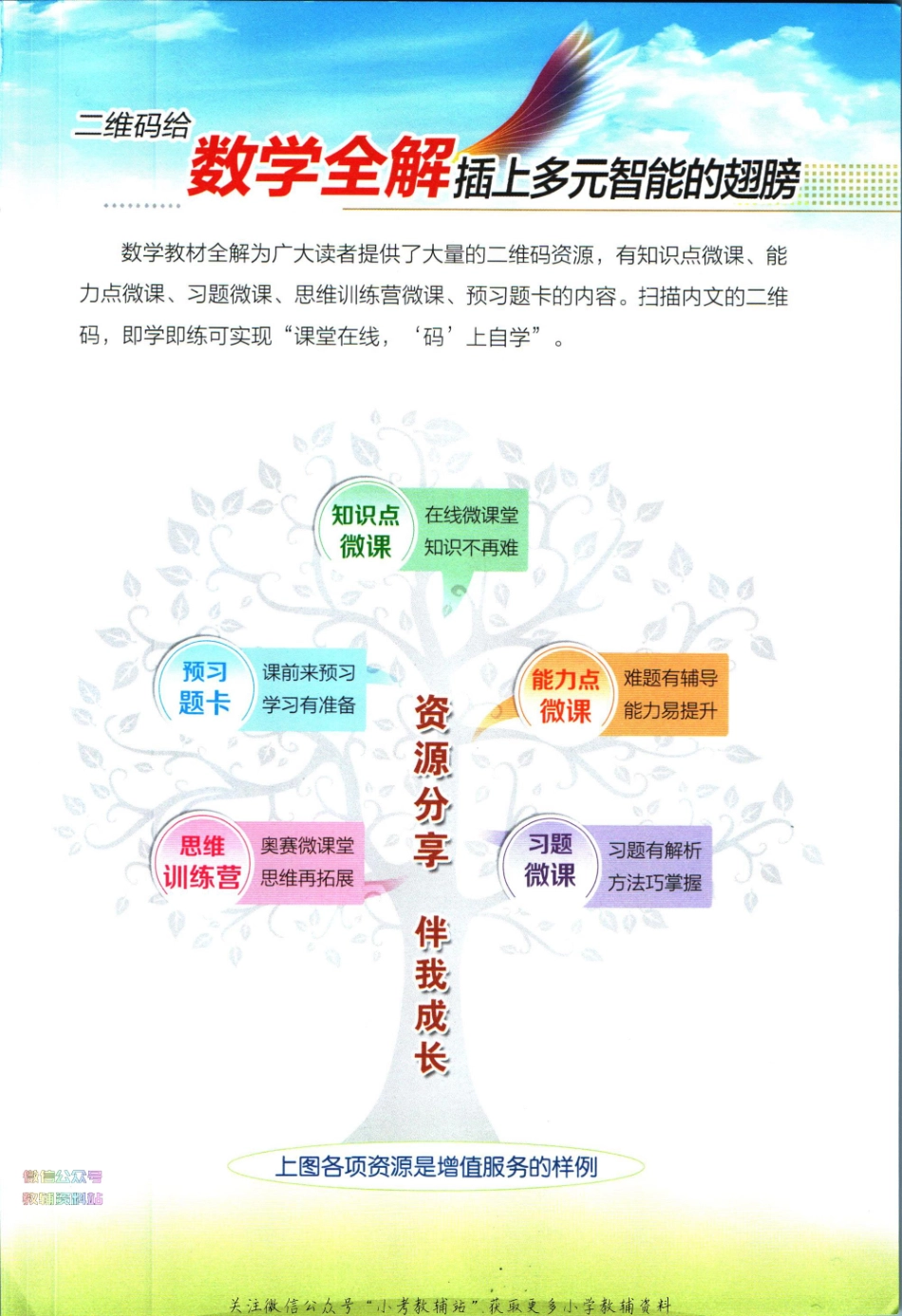 小学教材全解五年级下册数学人教版【】.pdf_第3页