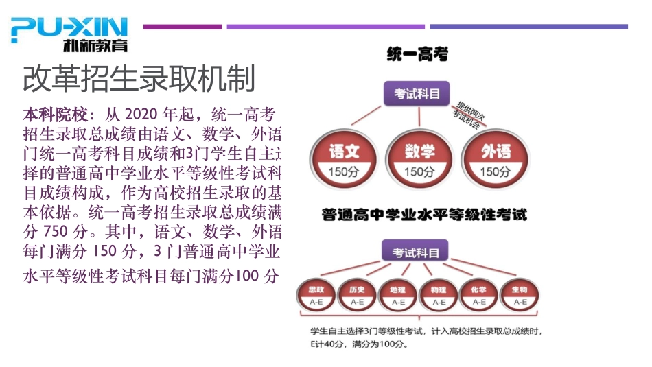 新高考(1).pdf_第2页