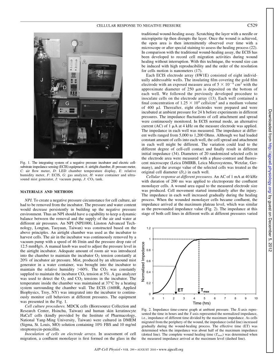 Effects of Negative Pressures on Epithelial Tight Junctions and Migration in Wound Healing(1).pdf_第2页
