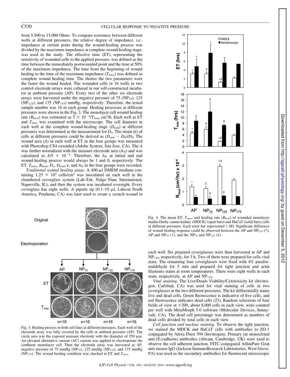 Effects of Negative Pressures on Epithelial Tight Junctions and Migration in Wound Healing(1).pdf_第3页
