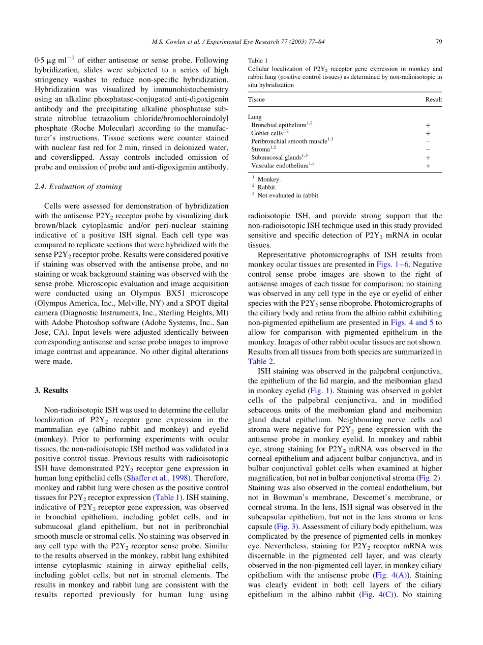 Localization of ocular P2Y2 receptor gene expression by in situ(1).pdf_第3页