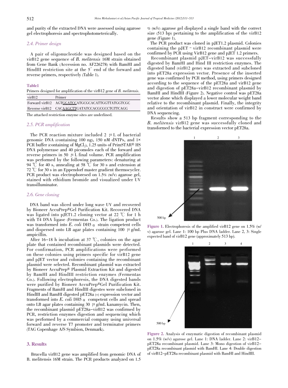 Molecular cloning of virB12 gene in pET28a vector(1).pdf_第2页