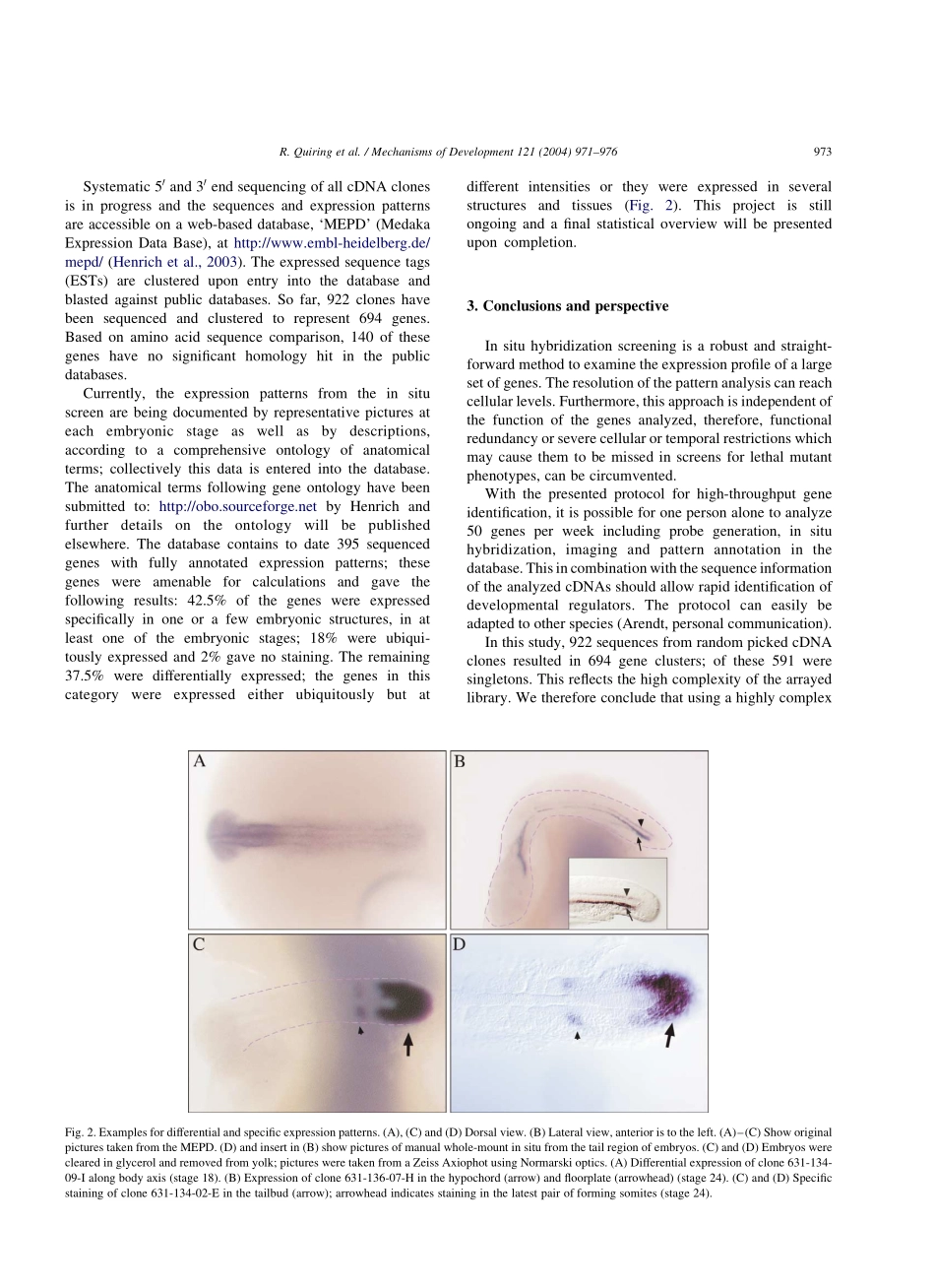 Large-scale expression screening by automated whole-mount in situ(1).pdf_第3页