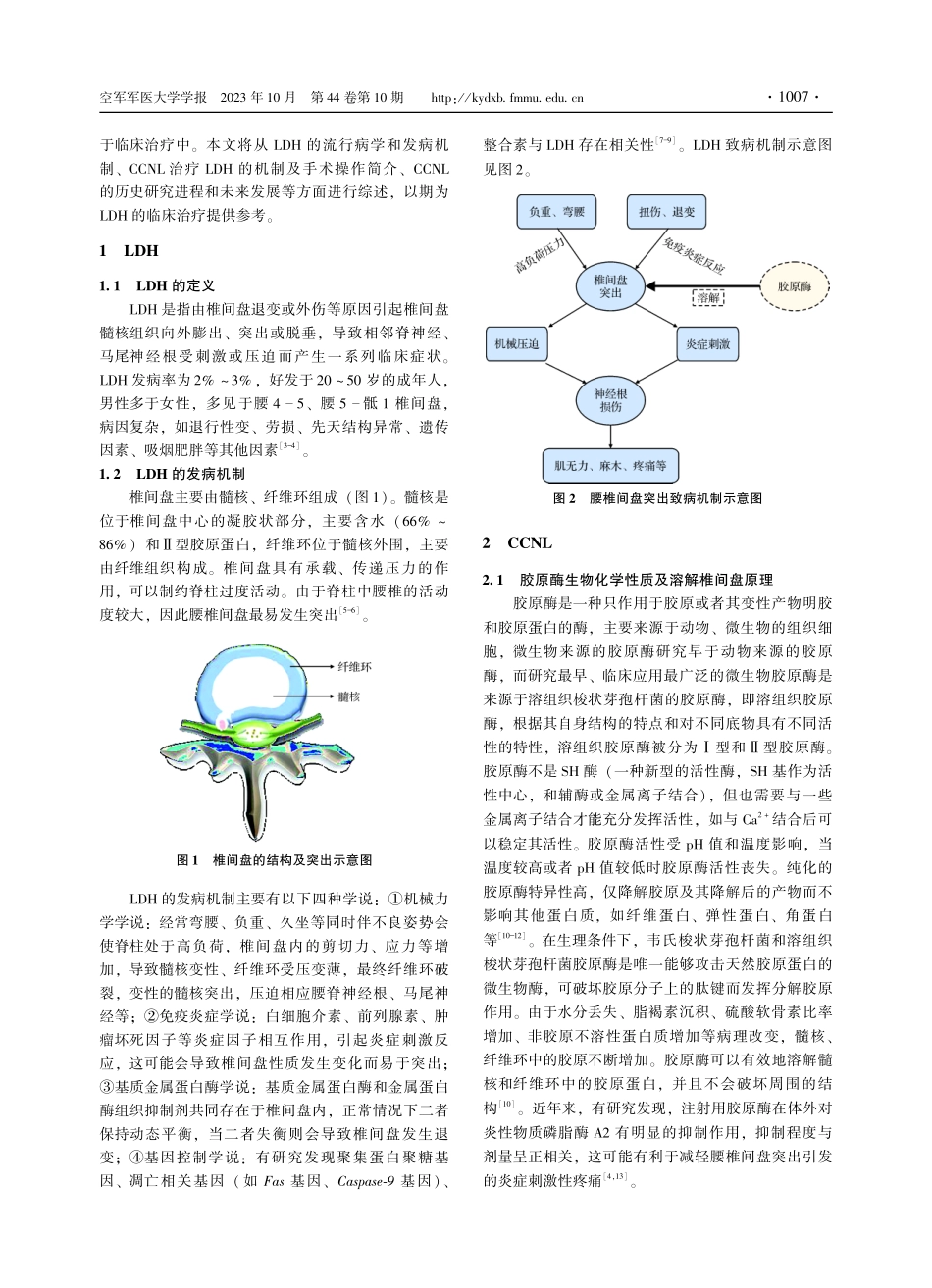 胶原酶化学溶解术微创介入治疗的历史回顾与发展.pdf_第2页