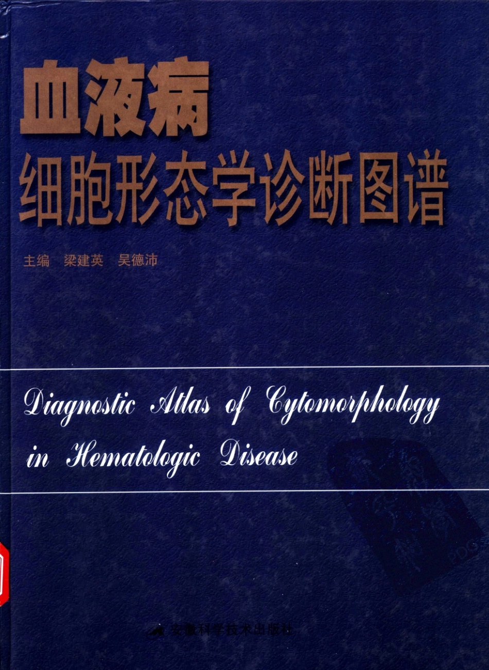 血液病细胞形态学诊断图谱_11308811(1).pdf_第1页