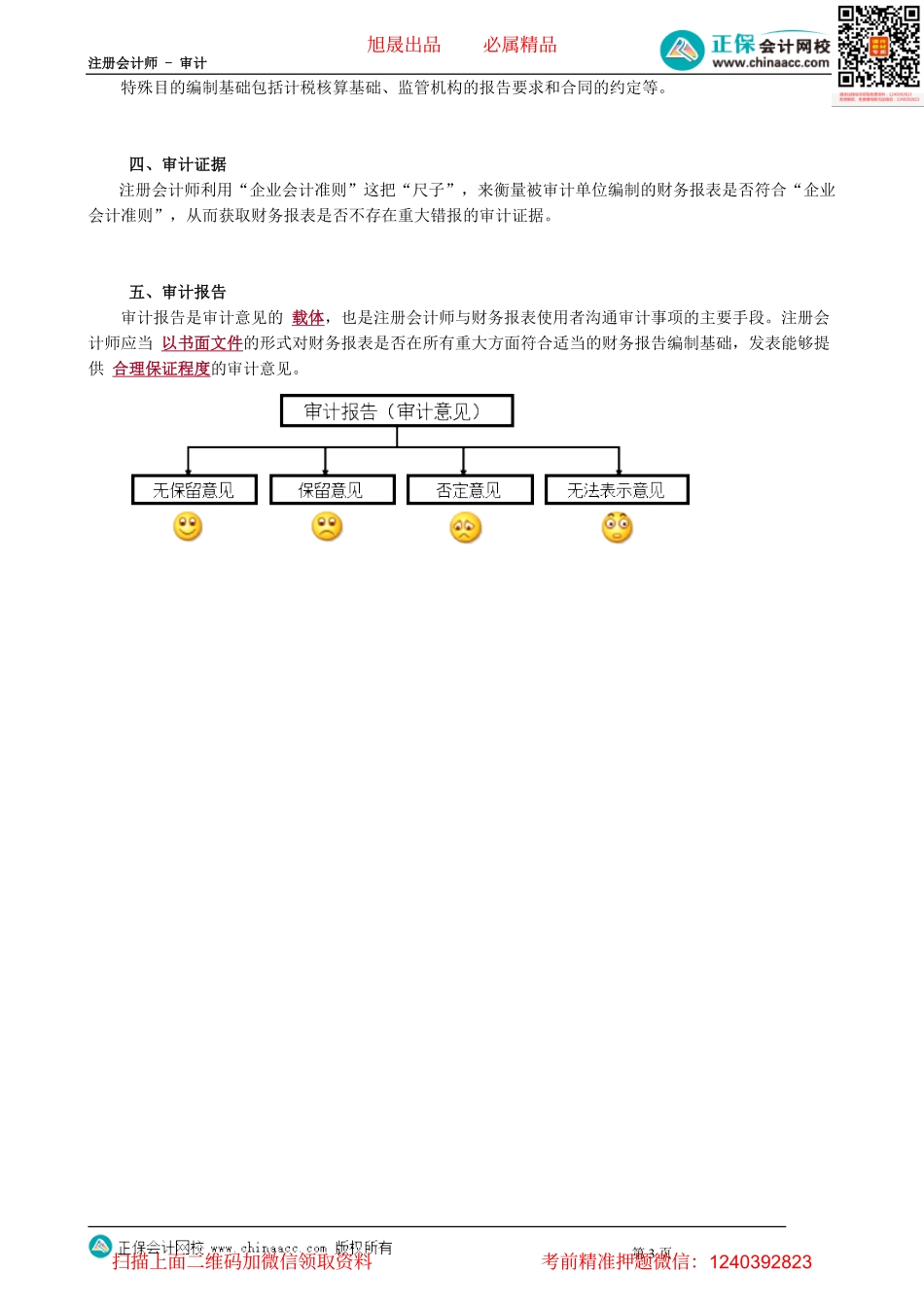 第0103讲　审计要素.pdf_第3页