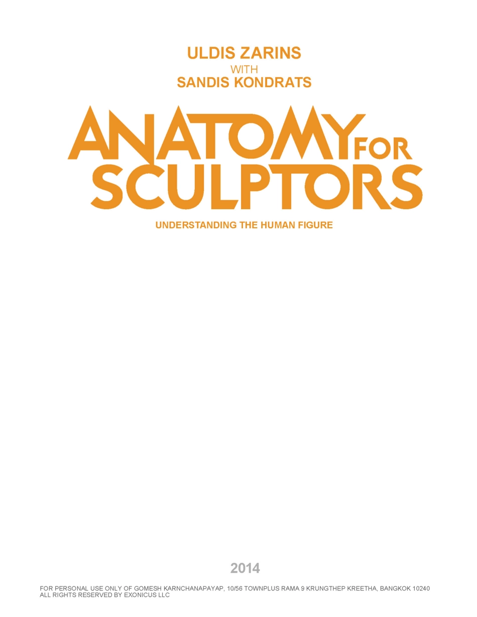 艺用人体结构图（中文版）.pdf_第3页