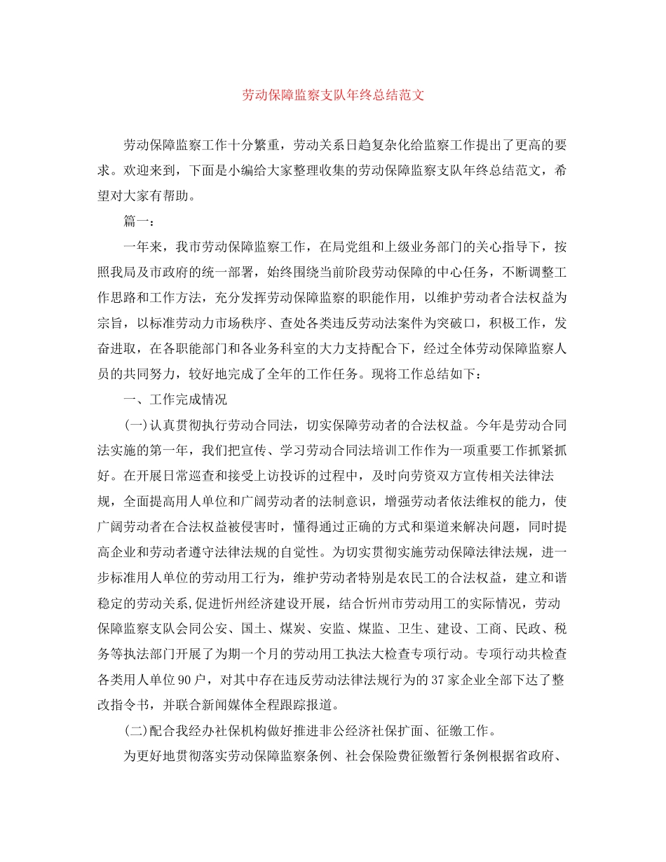 2023年劳动保障监察支队终总结范文.docx_第1页