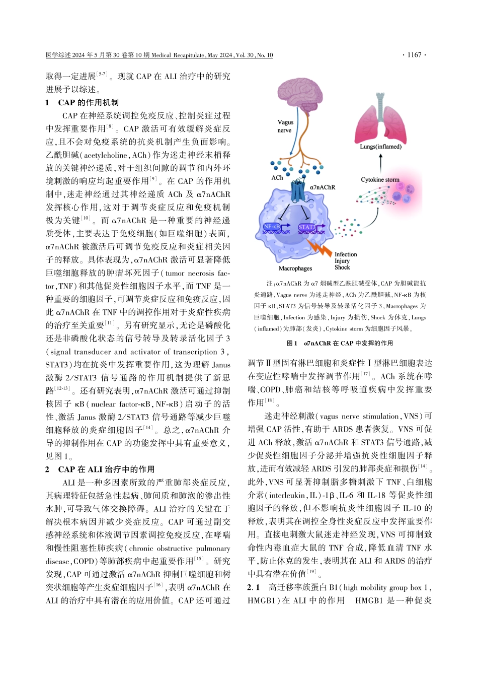胆碱能抗炎通路在急性肺损伤治疗中的研究进展 (1).pdf_第2页