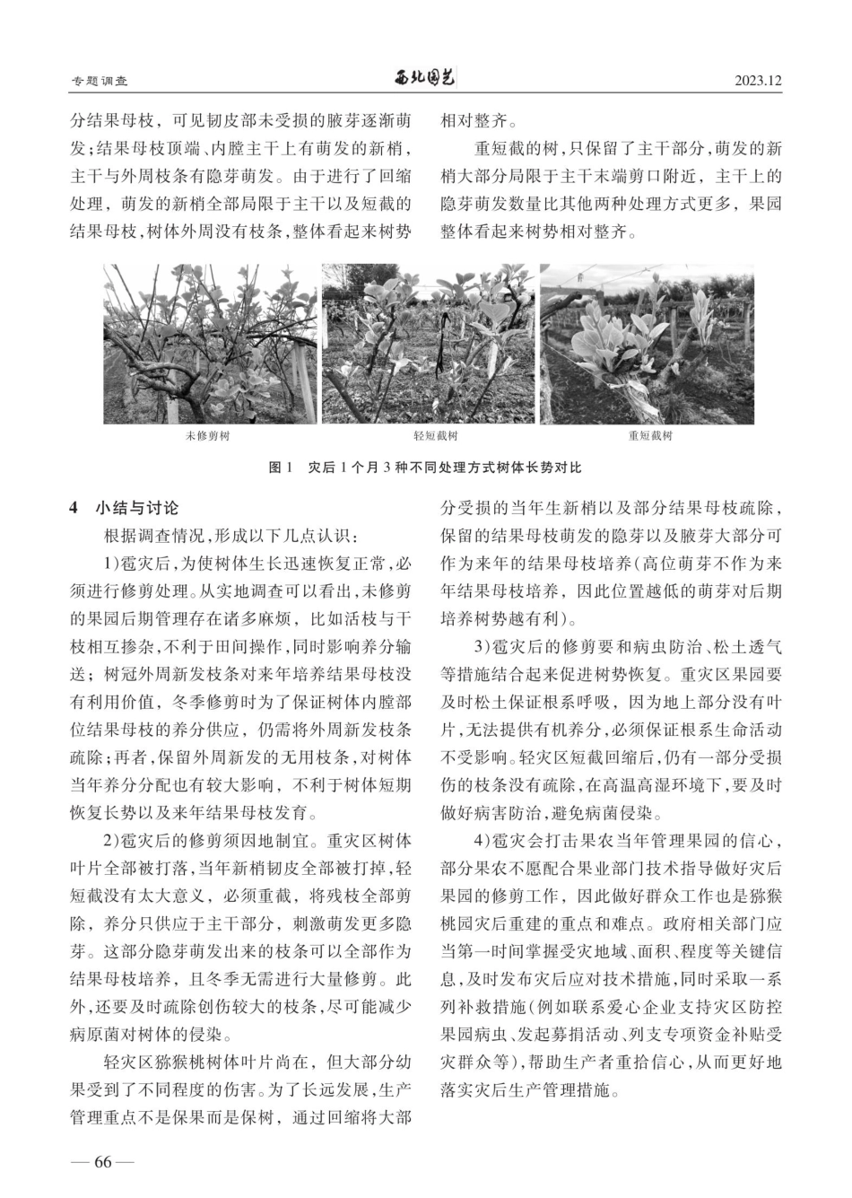 不同修剪方式对雹灾后猕猴桃树体长势的影响.pdf_第2页
